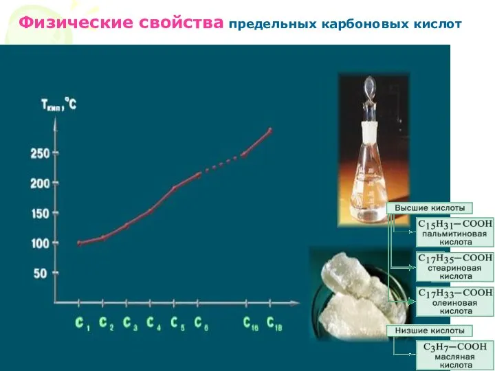 Физические свойства карбоновых кислот Физические свойства предельных карбоновых кислот