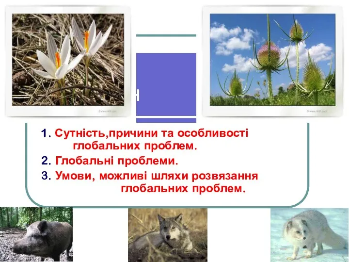 План 1. Сутність,причини та особливості глобальних проблем. 2. Глобальні проблеми. 3.