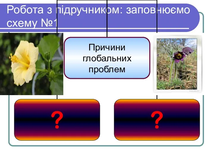 Робота з підручником: заповнюємо схему №1