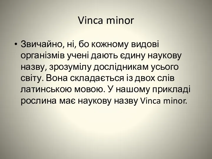 Vinca minor Звичайно, ні, бо кожному видові організмів учені дають єдину