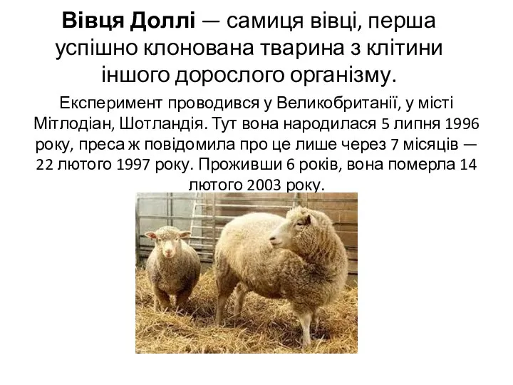 Вівця Доллі — самиця вівці, перша успішно клонована тварина з клітини