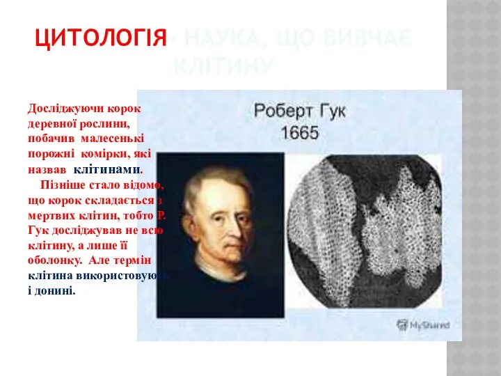 Цитологія- наука, що вивчає клітину Досліджуючи корок деревної рослини, побачив малесенькі