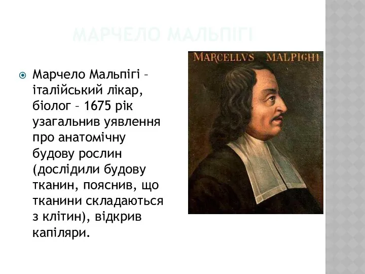 Марчело Мальпігі Марчело Мальпігі –італійський лікар, біолог – 1675 рік узагальнив