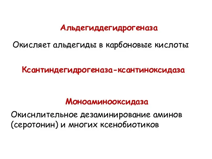 Альдегиддегидрогеназа Окисляет альдегиды в карбоновые кислоты Ксантиндегидрогеназа-ксантиноксидаза Моноаминооксидаза Окиснлительное дезаминирование аминов (серотонин) и многих ксенобиотиков