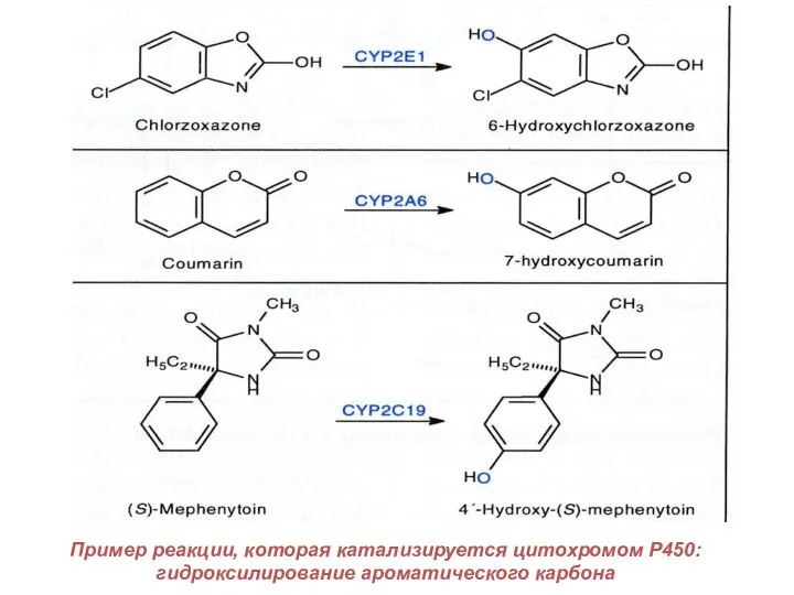 Пример реакции, которая катализируется цитохромом P450: гидроксилирование ароматического карбона
