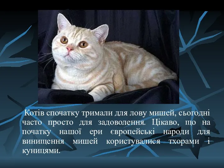 Котів спочатку тримали для лову мишей, сьогодні часто просто для задоволення.