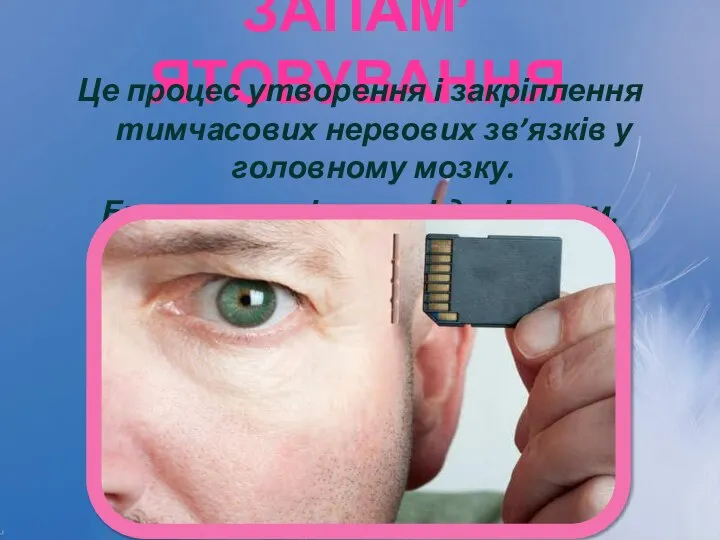 Запам’ятовування Це процес утворення і закріплення тимчасових нервових зв’язків у головному мозку. Буває мимовільним і довільним.