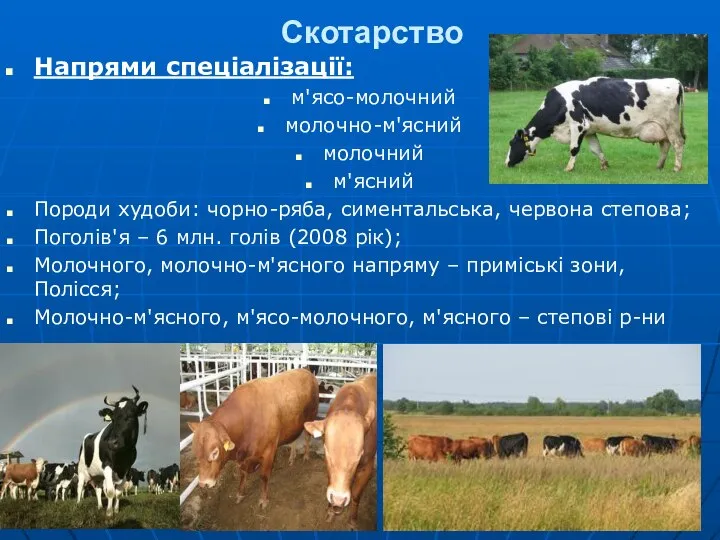 Скотарство Напрями спеціалізації: м'ясо-молочний молочно-м'ясний молочний м'ясний Породи худоби: чорно-ряба, симентальська,