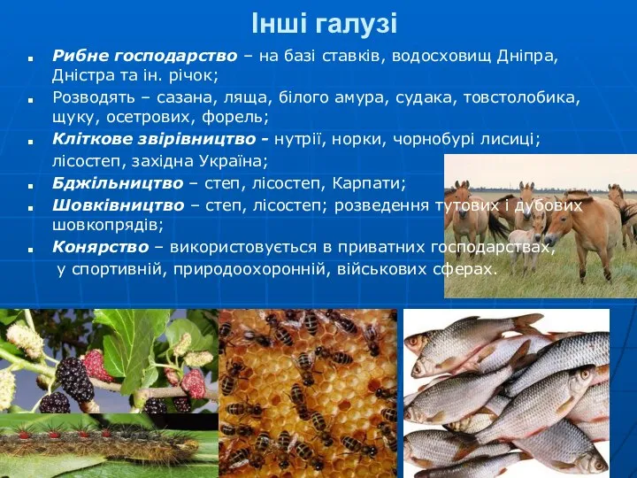 Інші галузі Рибне господарство – на базі ставків, водосховищ Дніпра, Дністра