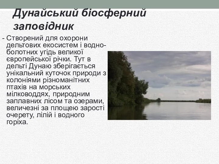 Дунайський біосферний заповідник - Створений для охорони дельтових екосистем і водно-болотних