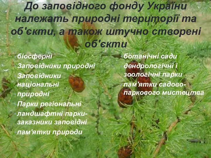 До заповідного фонду України належать природні території та об'єкти, а також