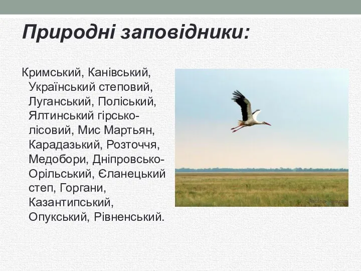 Природні заповідники: Кримський, Канівський, Український степовий, Луганський, Поліський, Ялтинський гірсько-лісовий, Мис