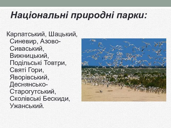 Національні природні парки: Карпатський, Шацький, Синевир, Азово-Сиваський, Вижницький, Подільські Товтри, Святі