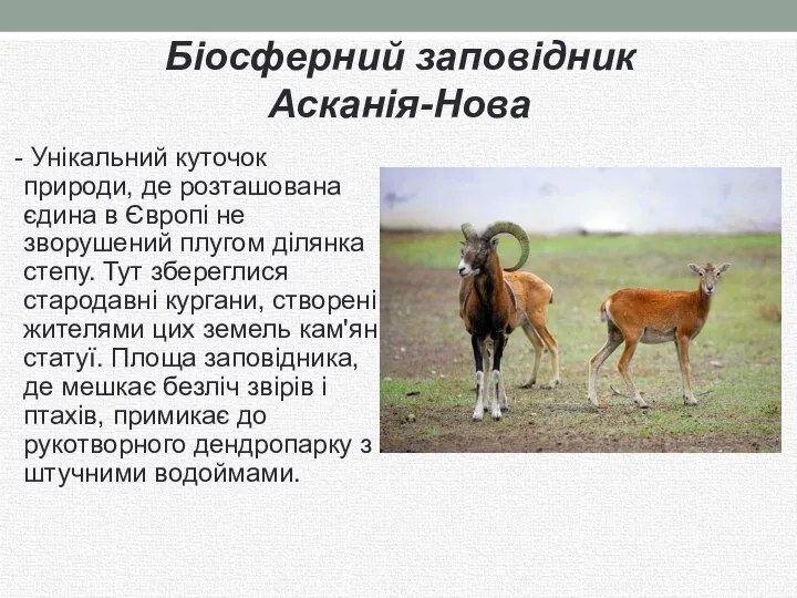 Біосферний заповідник Асканія-Нова - Унікальний куточок природи, де розташована єдина в