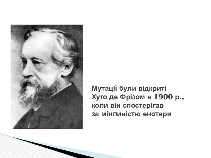 Мутації були відкриті Хуго де Фрізом в 1900 р., коли він спостерігав за мінливістю енотери