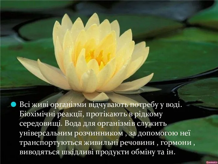 Всі живі організми відчувають потребу у воді. Біохімічні реакції, протікають в