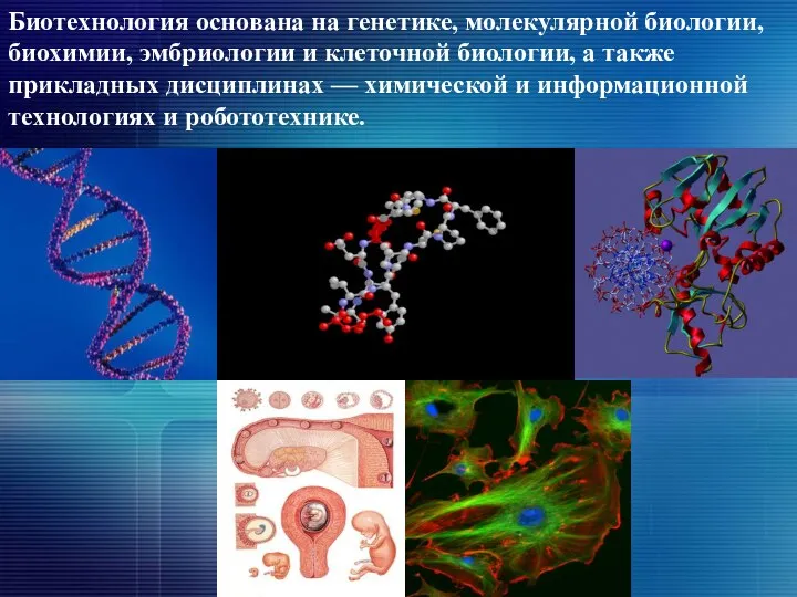 Биотехнология основана на генетике, молекулярной биологии, биохимии, эмбриологии и клеточной биологии,