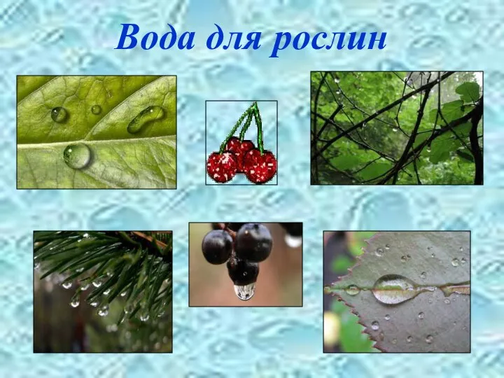 Вода для рослин