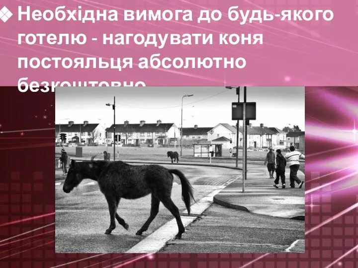 Необхідна вимога до будь-якого готелю - нагодувати коня постояльця абсолютно безкоштовно