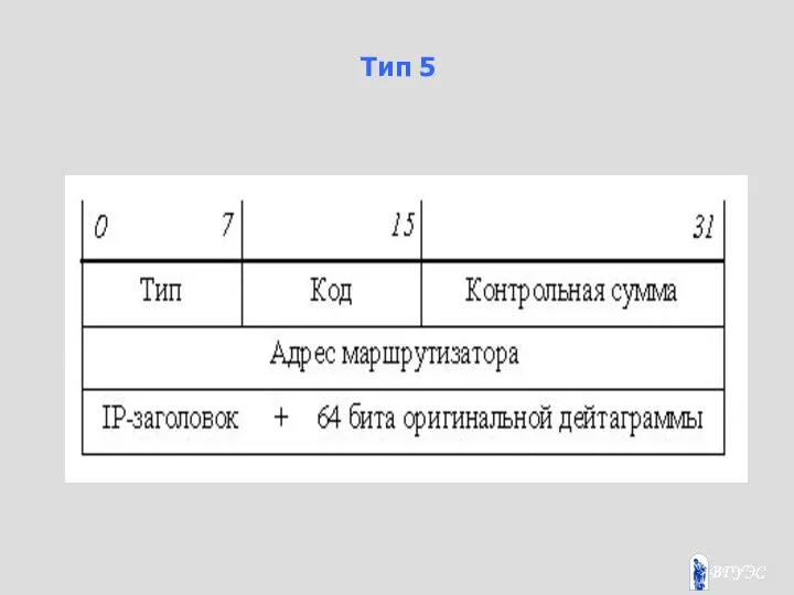 Тип 5