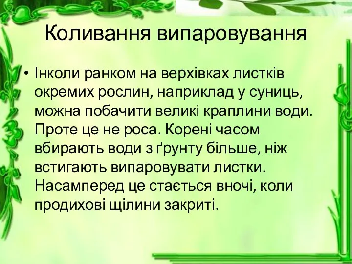 Коливання випаровування Інколи ранком на верхівках листків окремих рослин, наприклад у