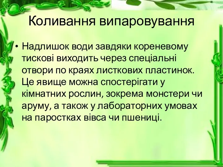 Коливання випаровування Надлишок води завдяки кореневому тискові виходить через спеціальні отвори