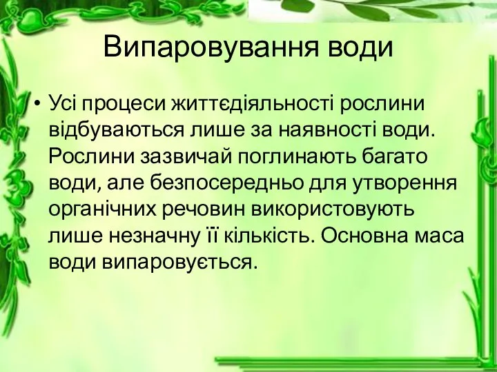 Випаровування води Усі процеси життєдіяльності рослини відбуваються лише за наявності води.