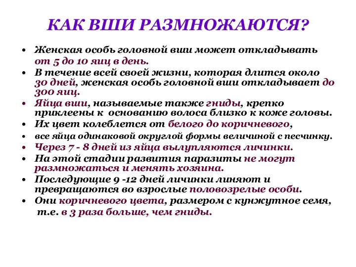 КАК ВШИ РАЗМНОЖАЮТСЯ? Женская особь головной вши может откладывать от 5