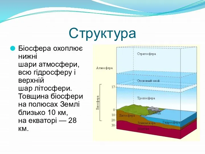 Структура Біосфера охоплює нижні шари атмосфери, всю гідросферу і верхній шар