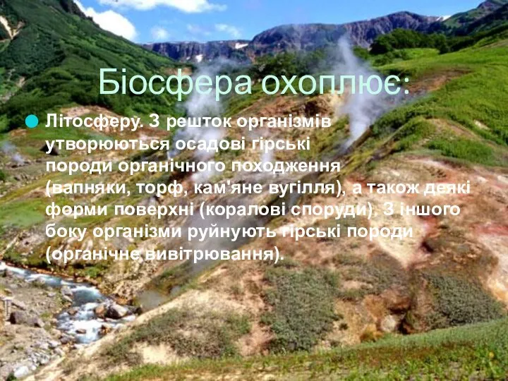 Біосфера охоплює: Літосферу. З решток організмів утворюються осадові гірські породи органічного