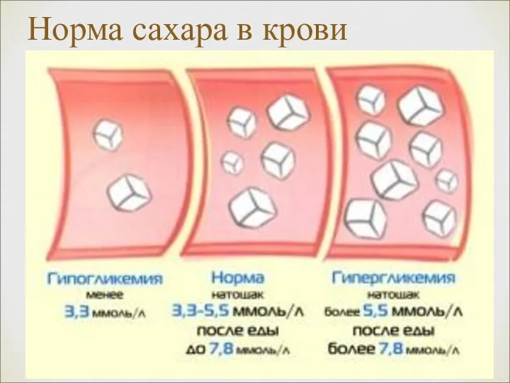 Норма сахара в крови