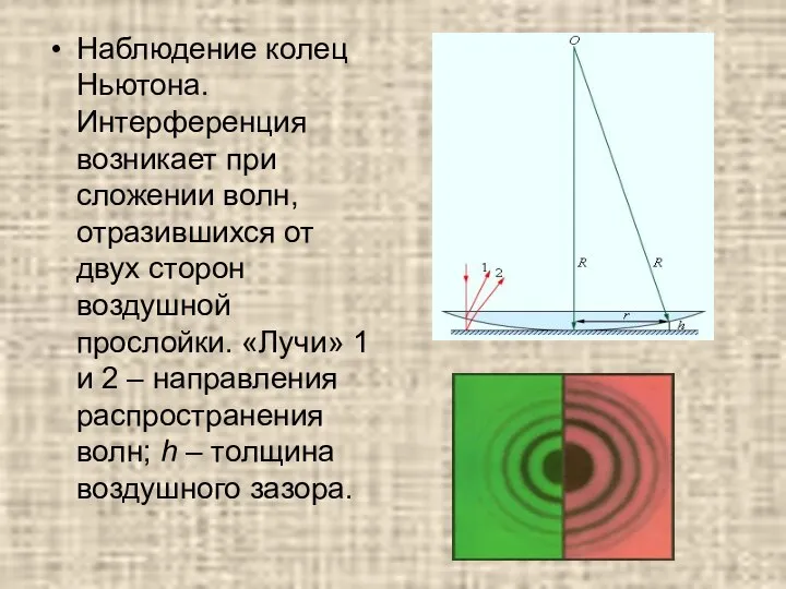 Наблюдение колец Ньютона. Интерференция возникает при сложении волн, отразившихся от двух