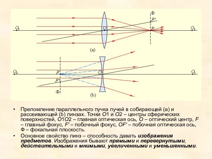 Преломление параллельного пучка лучей в собирающей (a) и рассеивающей (b) линзах.