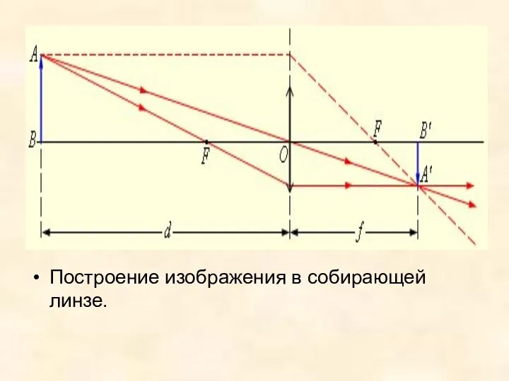 Построение изображения в собирающей линзе.