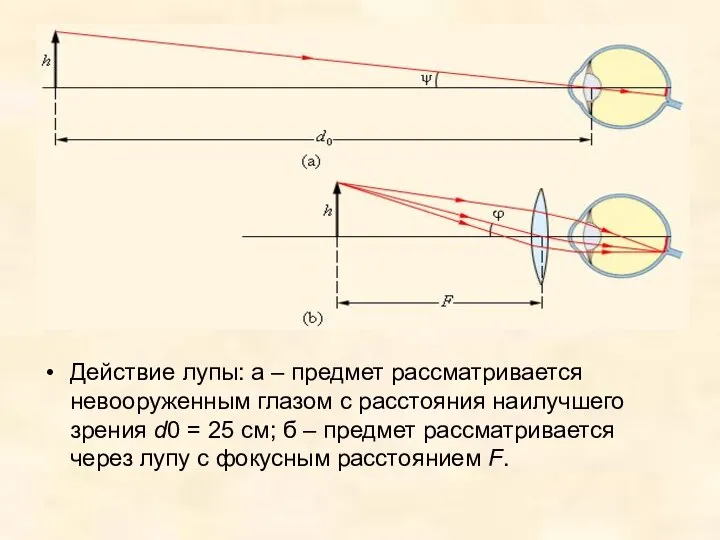 Действие лупы: а – предмет рассматривается невооруженным глазом с расстояния наилучшего