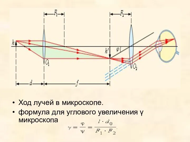 Ход лучей в микроскопе. формула для углового увеличения γ микроскопа