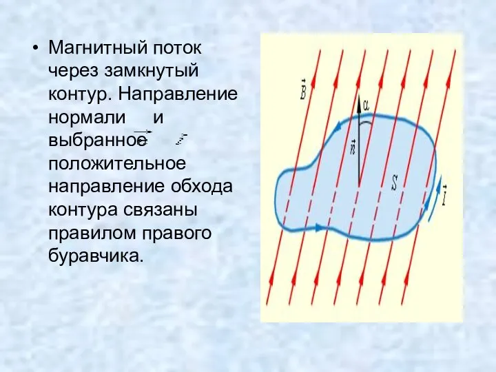 Магнитный поток через замкнутый контур. Направление нормали и выбранное положительное направление