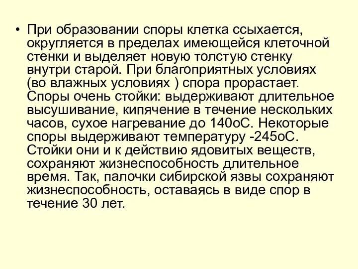 При образовании споры клетка ссыхается, округляется в пределах имеющейся клеточной стенки