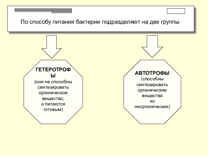 По способу питания бактерии подразделяют на две группы ГЕТЕРОТРОФЫ (они не