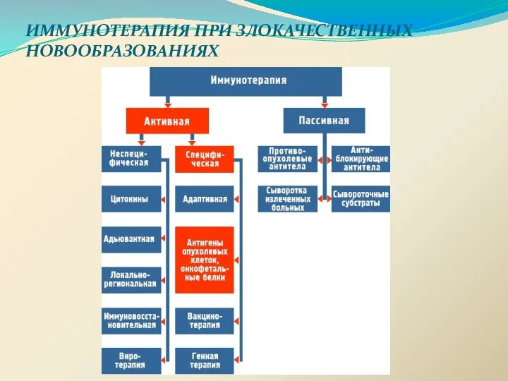 ИММУНОТЕРАПИЯ ПРИ ЗЛОКАЧЕСТВЕННЫХ НОВООБРАЗОВАНИЯХ