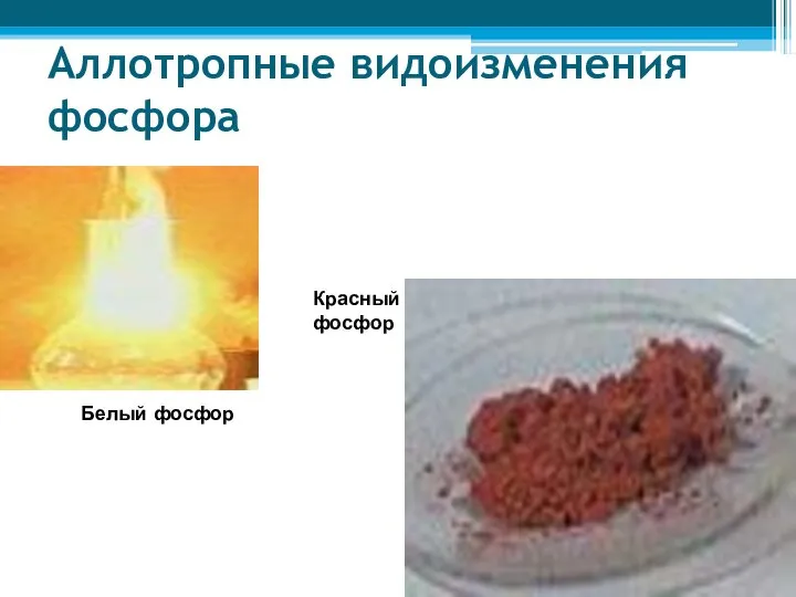 Аллотропные видоизменения фосфора Белый фосфор Красный фосфор