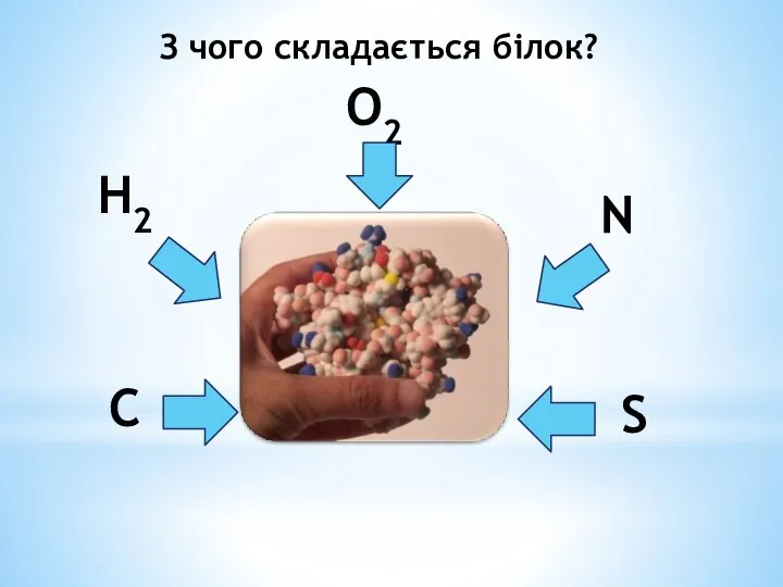 З чого складається білок? C H2 O2 S N