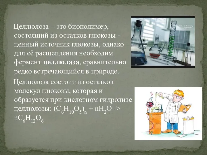 Целлюлоза – это биополимер, состоящий из остатков глюкозы - ценный источник