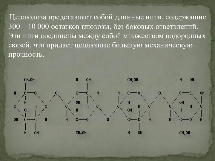 Целлюлоза представляет собой длинные нити, содержащие 300—10 000 остатков глюкозы, без