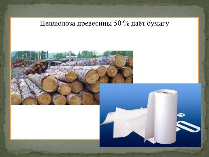 Целлюлоза древесины 50 % даёт бумагу