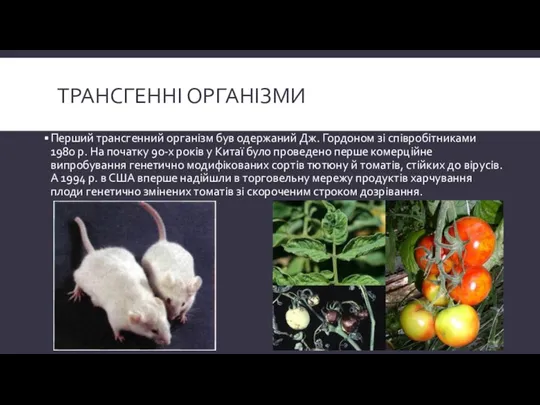 Трансгенні організми Перший трансгенний організм був одержаний Дж. Гордоном зі співробітниками