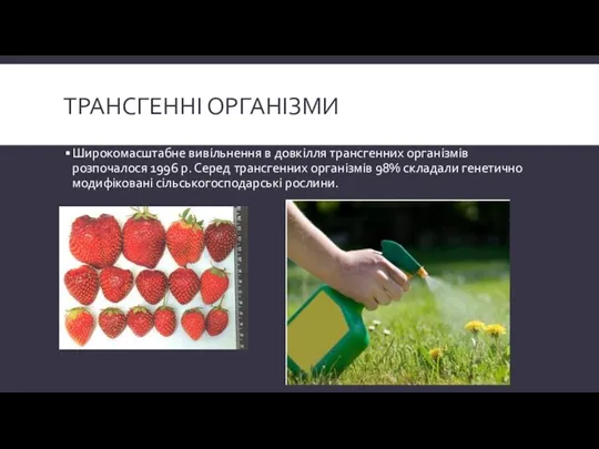 Трансгенні організми Широкомасштабне вивільнення в довкілля трансгенних орга­нізмів розпочалося 1996 р.