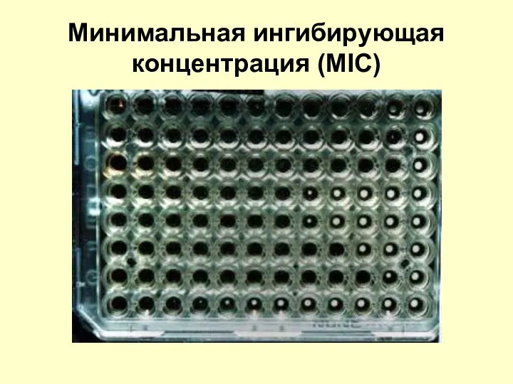 Минимальная ингибирующая концентрация (MIC)