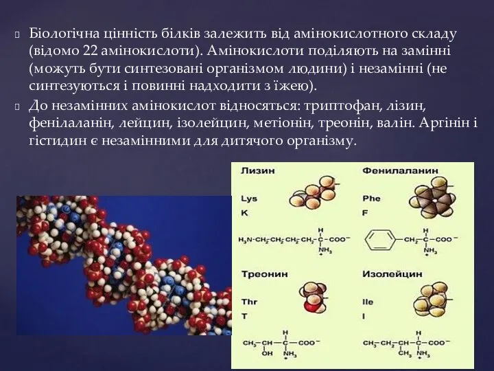 Біологічна цінність білків залежить від амінокислотного складу (відомо 22 амінокислоти). Амінокислоти