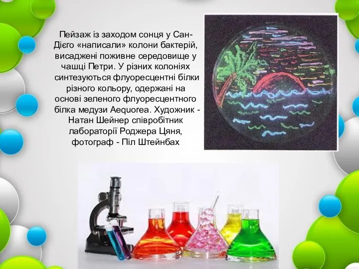 Пейзаж із заходом сонця у Сан-Дієго «написали» колони бактерій, висаджені поживне